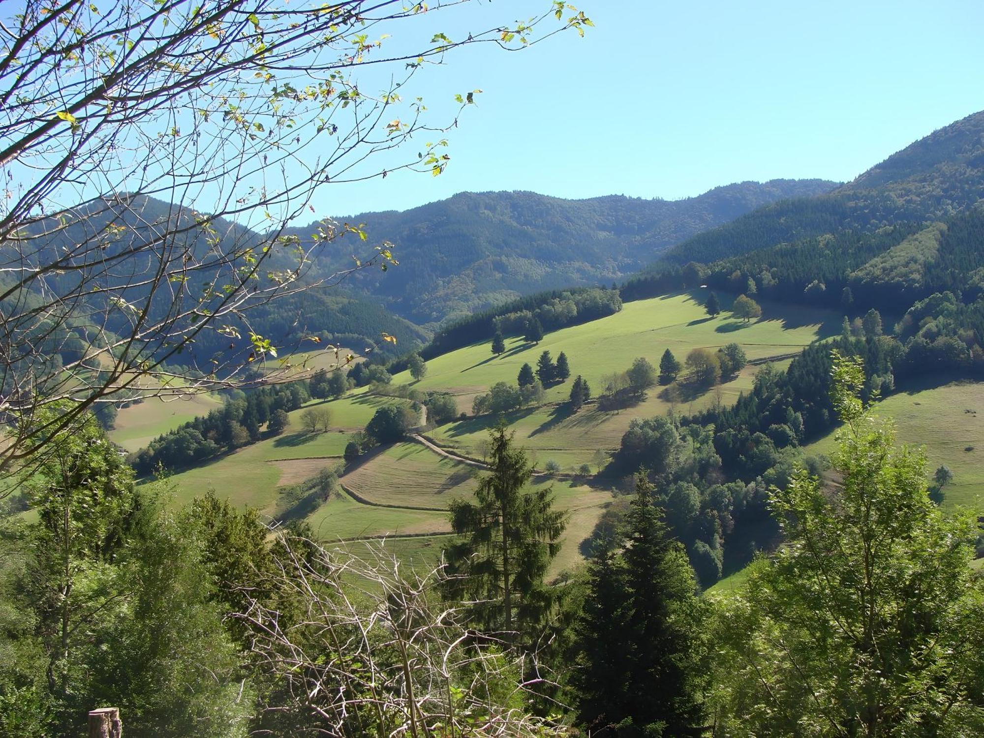 Blackforest Ferienwohnung Занкт-Георген-ім-Шварцвальд Екстер'єр фото
